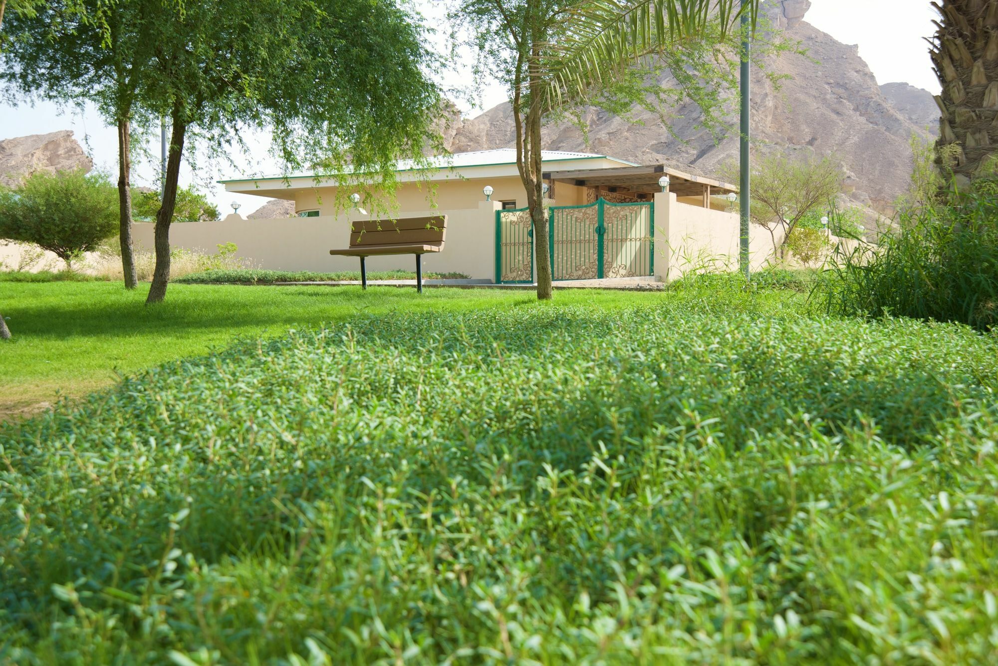 Green Mubazzarah Chalets Al Ain Buitenkant foto