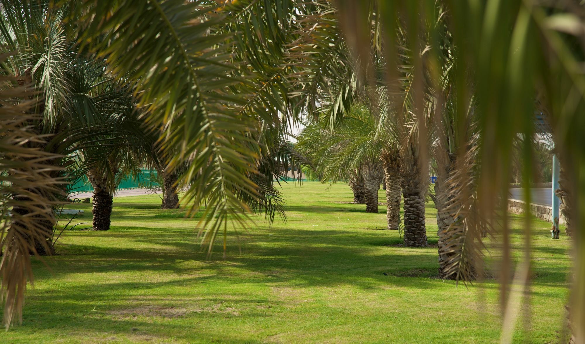 Green Mubazzarah Chalets Al Ain Buitenkant foto
