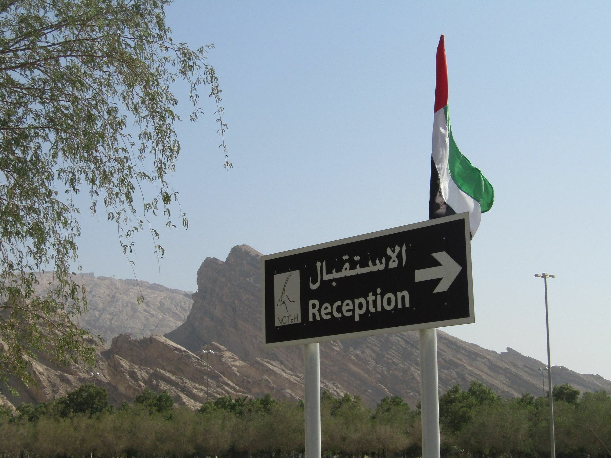 Green Mubazzarah Chalets Al Ain Buitenkant foto